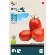 Tomato Roma ORGANIC Seeds